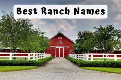 379 Best Ranch Names - Catchy, Unique, Romantic, Clever