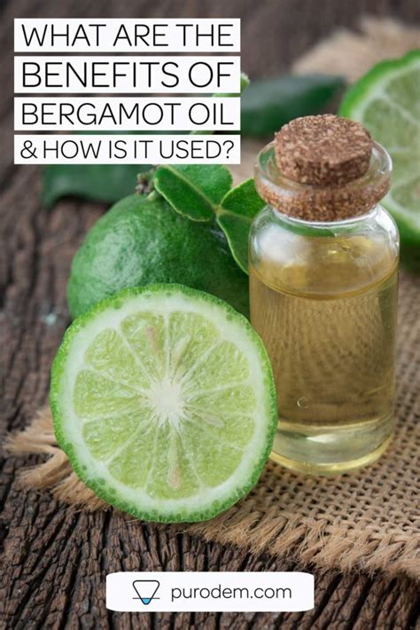 Bergamot Essential Oil - What are the benefits? | Purodem