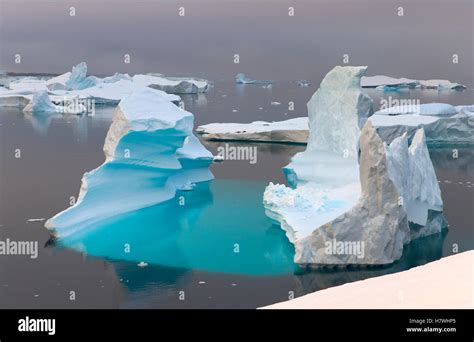 Evening light on ice landscape, Booth Island, Antarctica Stock Photo ...