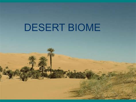 Desert Biome