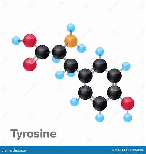 Molecular Omposition and Structure of Tyrosine, Tyr, Best for Books and Education Stock ...