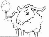 Free Printable Sheep Coloring Pages For Kids sketch template