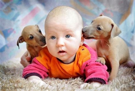 33 Cute Pictures of Puppies and Babies Being Super Cute - Snappy Pixels