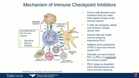 Bladder Cancer and Immunotherapy | Daniel P. Petrylak