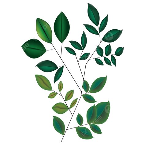 Green Leaf Plants Vector, Leaf Plants, Green, Plant PNG and Vector with Transparent Background ...