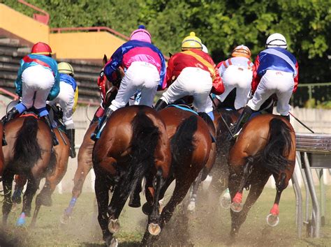 レース回顧 - 競馬的思考「あまのじゃくな日々」