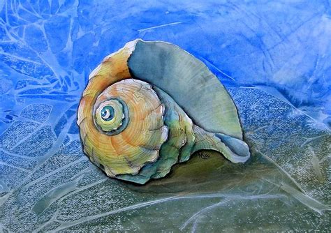Seashell Painting by Khromykh Natalia