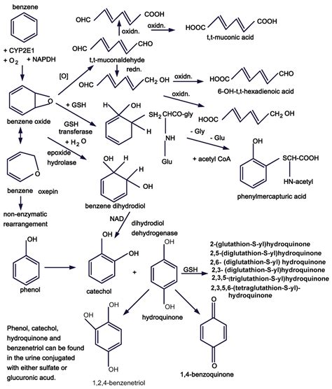 IJERPH | Free Full-Text | Leukemia and Benzene