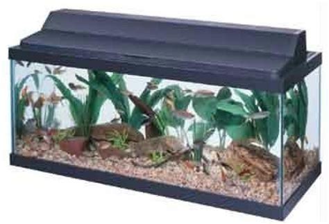 All Glass Aquarium AAG21230 Fluorescent Deluxe Hood, 30-Inch – Pets ...