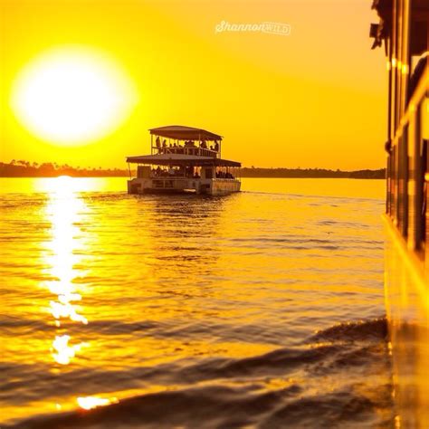 Sunset cruise on the mighty Zambezi River. #Zambezi #zambeziriver #zimbabwe #sunset #dusk # ...