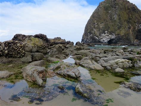 Winds of Destiny - RVLife: Low Tide at Haystack Rock, 6/21/2016