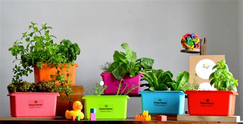 Beginners Guide to Hydroponic Kits