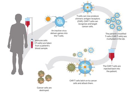 Partnership aims to accelerate cell and gene therapy – Harvard Gazette