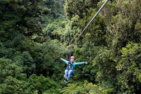 Ziplining Forest Adventure - The Original Canopy Tour Rotorua: Triphobo