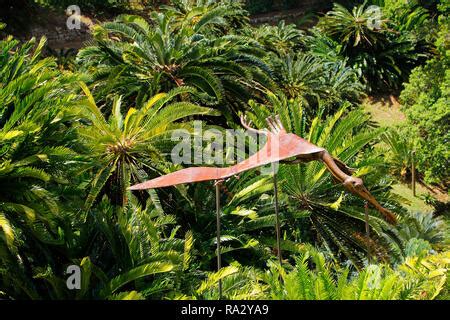 Cycad Amphitheatre. Kirstenbosch national botanical garden. Cape Town, South Africa Stock Photo ...