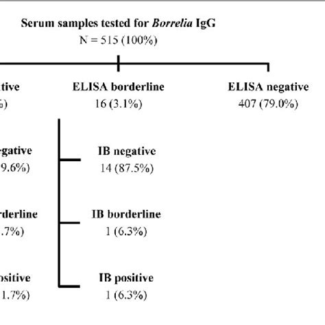 Flow chart of samples tested, according to ELISA and immunoblotting... | Download Scientific Diagram