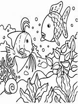 Coloring Pages Tropical  Home sketch template