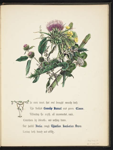 Shakespeare’s Favourite Flowers: The Thistle