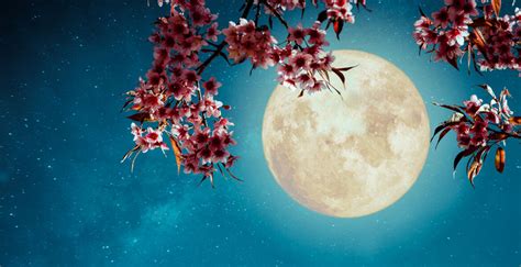 The Spiritual Meaning of the Full Flower Moon | Spirituality+Health