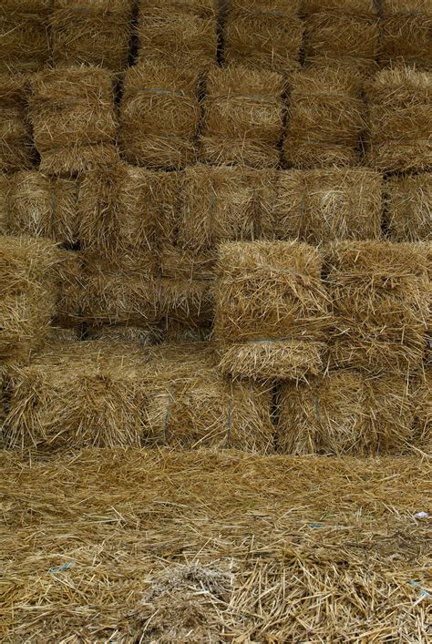 Hayrides — Busy Barn Farm Adventures