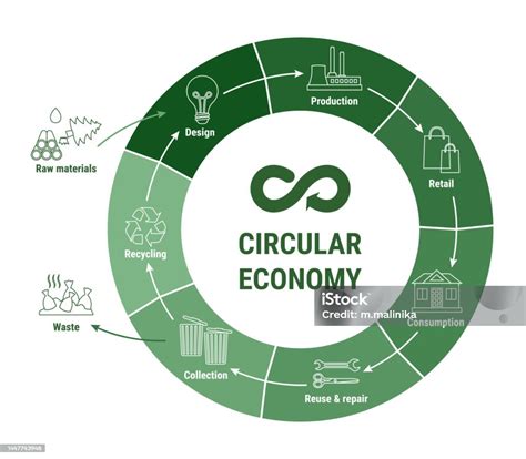 Circular Economy Line Infographic On Green Diagram Sustainable Business ...