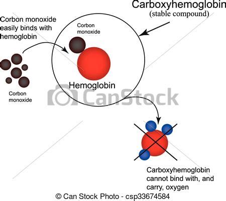 carbon monoxide hemoglobin – Liberal Dictionary