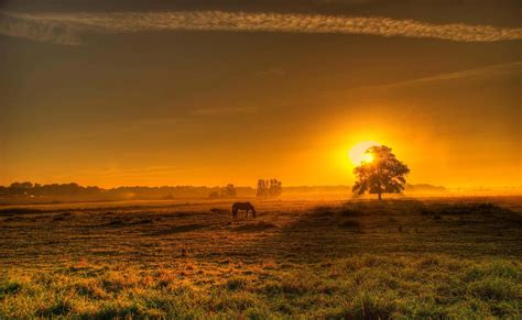 Download Countryside Sunset In Germany Wallpaper | Wallpapers.com