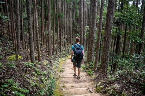 Kumano Kodo Trail: The Pilgrimage Route Japan | Two Wandering Soles