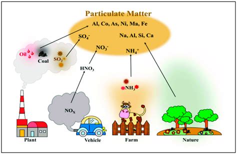 Schematic drawing of different sources of particulate matter in our ...