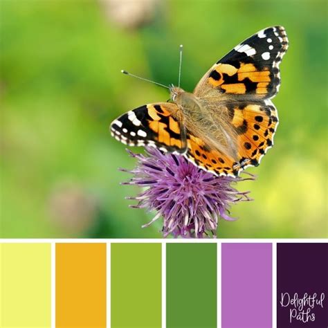 Butterfly Inspired Color Palettes - Delightful Paths