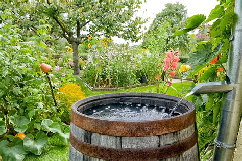 5 Advantages and Disadvantages of Rainwater Harvesting – Fresh Water Systems