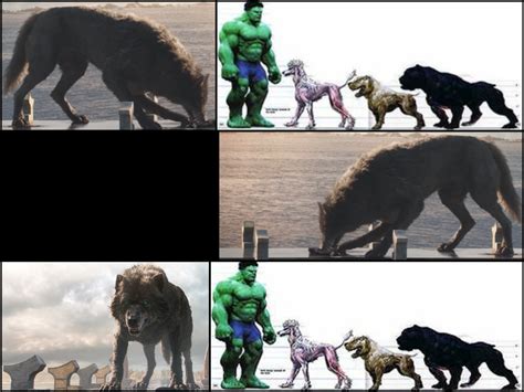 Mcu Fenris Wolf vs Hulk Dogs (Hulk 2003) - Battles - Comic Vine