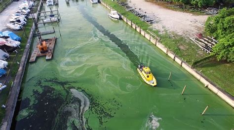 The Truth About Algae Blooms And Water Mismanagement In Florida.