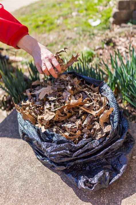 How To Make Leaf Mold – Using Leaf Mold As A Soil Amendment