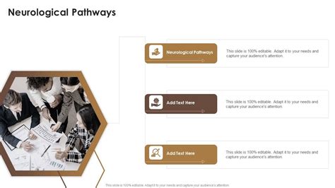 Neurological Pathways In Powerpoint And Google Slides Cpb PPT Example