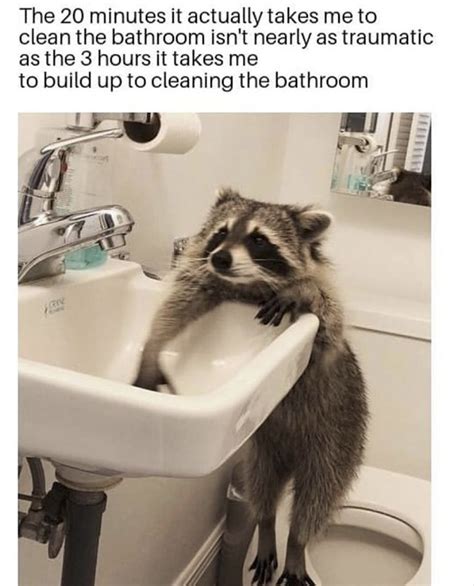 These Spring Cleaning Memes Will Put Some Pep In Your Step - Distracted In Isolation | Memes