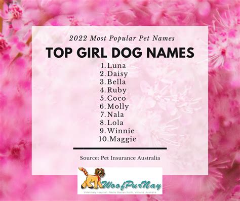 Most popular pet names of 2022 — Woofpurnay Veterinary Hospital | Professional compassionate ...