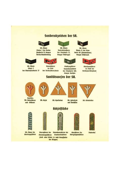 THE SA OF THE NAZI PARTY Die Sturmabteilung Der NSDAP - Brownshirt or ...