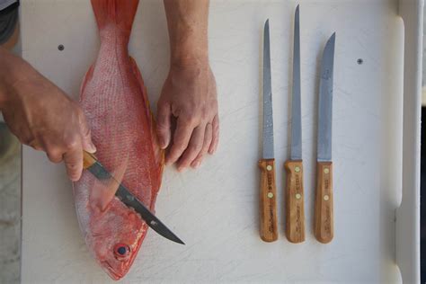 Good Information - Media piece on fillet knives | Tidal Fish Forum