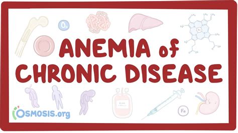 Ferritin In Anemia Of Chronic Disease - Captions Ideas