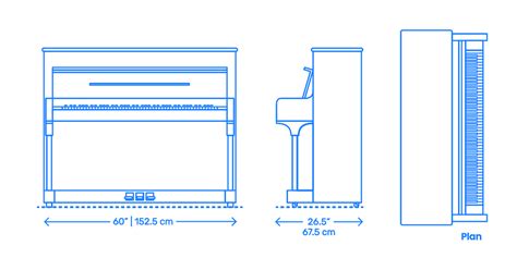 Steinway Upright Piano - Model V Dimensions & Drawings | Dimensions.Guide