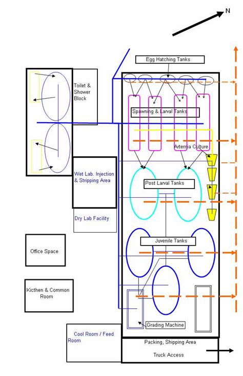 Fish Hatchery Design Example