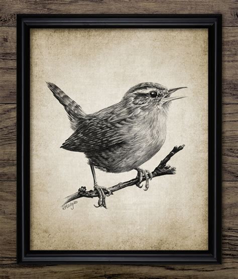 Wren Pencil Drawing Printable Wren Drawing Wren Bird Decor - Etsy