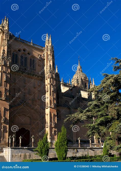 Cathedral of Salamanca stock photo. Image of landscape - 21538040