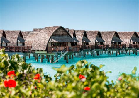 Best Resorts In Fiji For Couples In 2023 | Fiji Romantic Holidays