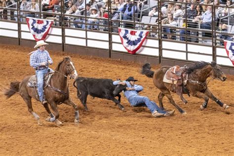 Dickies arena hosts Fort Worth Stock Show and Rodeo for first time | News | theshorthorn.com