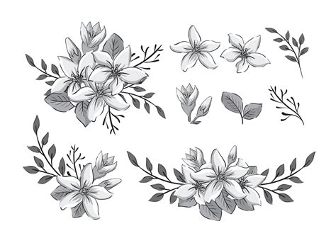 Jasmine Flower Vector Art, Icons, and Graphics for Free Download