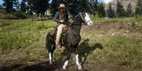 RDR2: What Each Van der Linde Gang Member's Horse Says About Them