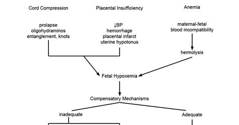 Pathophysiology: FETAL DISTRESS - Pathophysiology