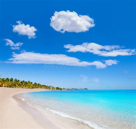 Key West Florida Smathers Beach Palm Trees US Stock Photo - Image of ...